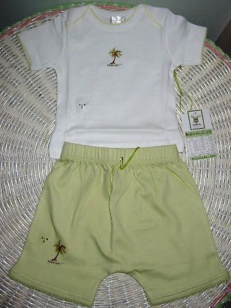 Palm Tree Short Set